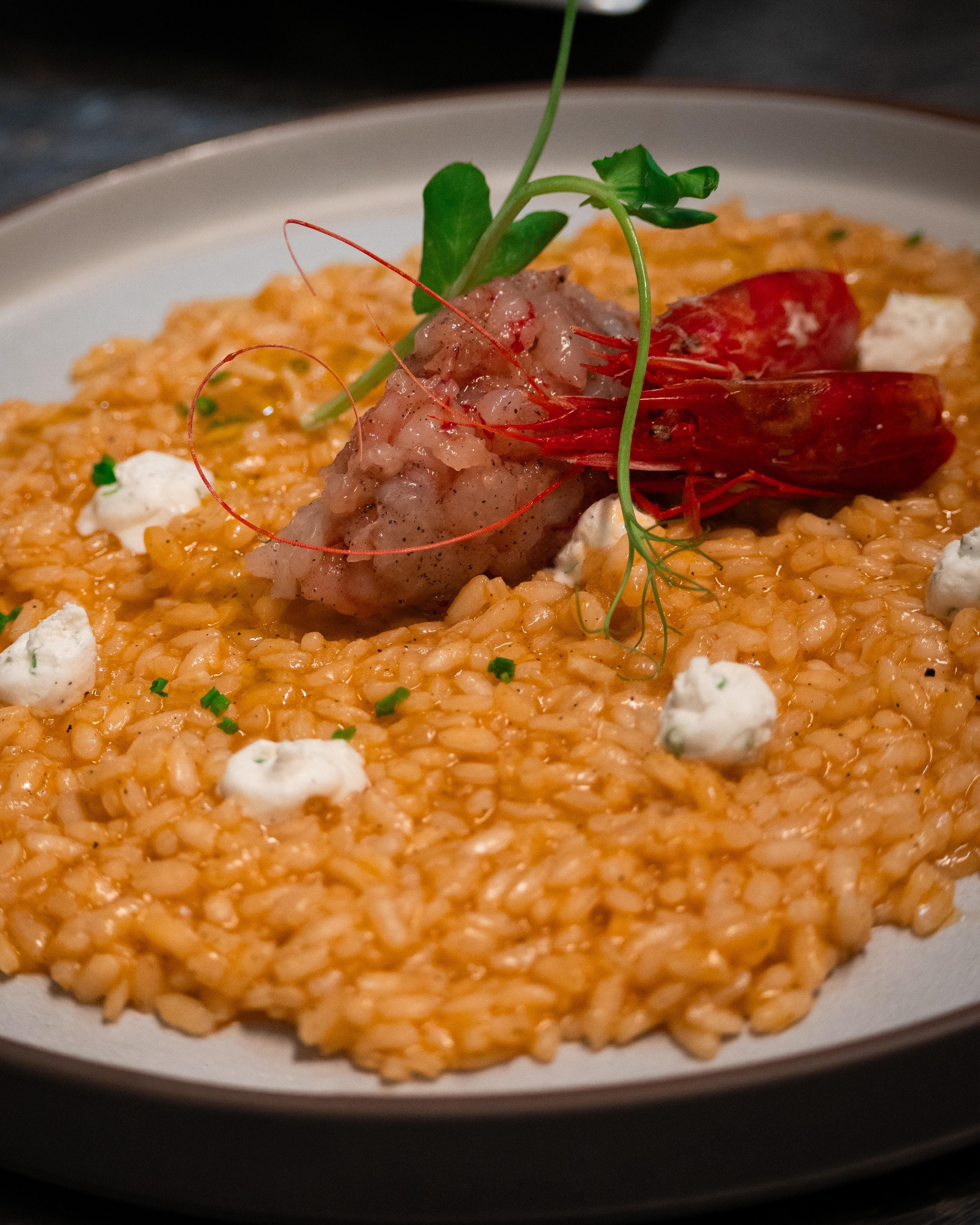 Risotto Red Prawns and Stracciatella