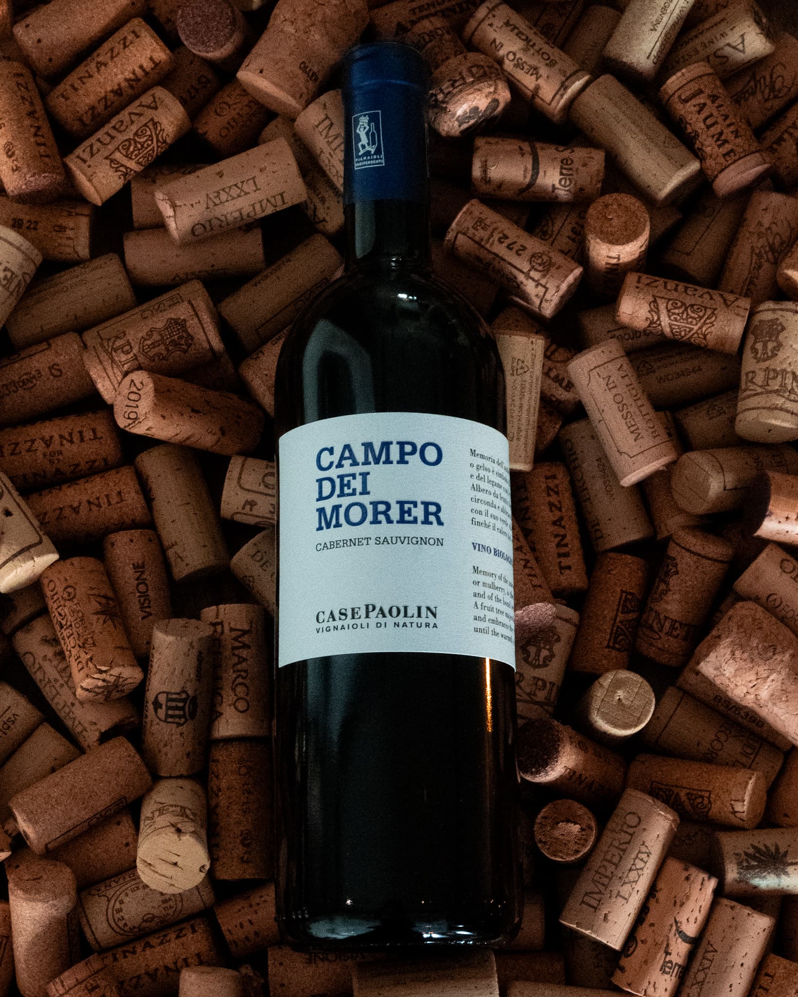 Campo dei Morer - Case Paolin