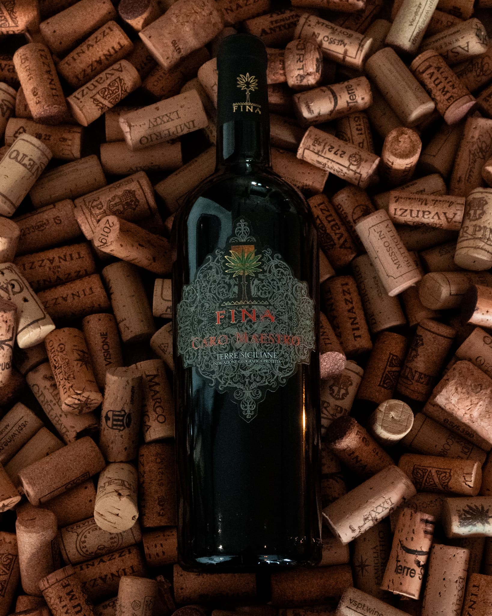 Caro Maestro Fina Vini